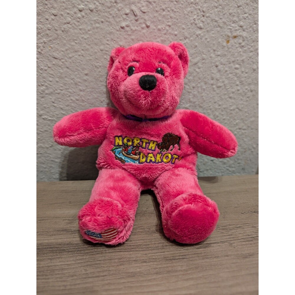 Symbolz North Dakota Peace Garden State Souvenir Beanbag Bear Plush 2006